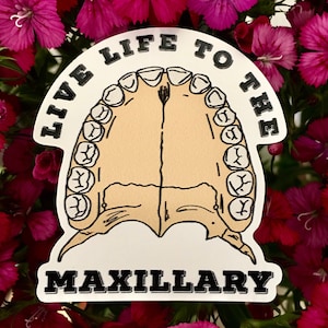 Live Life to the Maxillary | Dental Sticker| Dental Student | Dental Assistant | Dental School| Dental Hygienist| Teeth | Smile | Dentistry