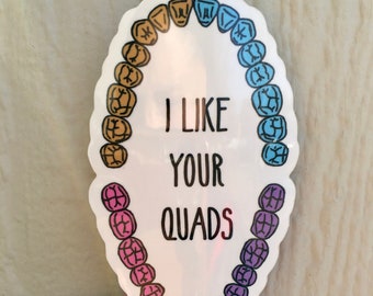 May include: A white sticker with a rainbow of teeth around the edge. The text "I LIKE YOUR QUADS" is written in black inside the teeth.