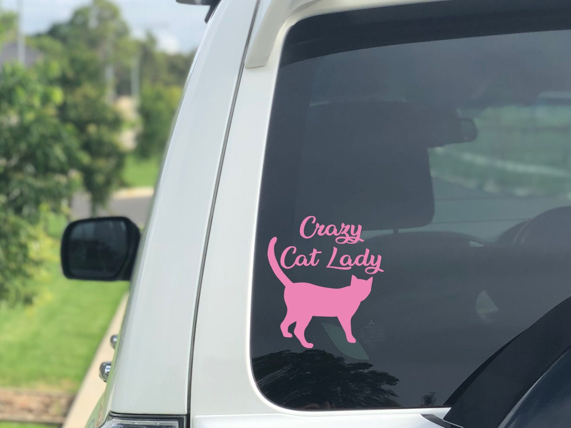 Crazy Cat Lady Car Decal