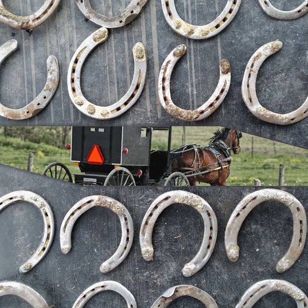 Used Horseshoes - Authentic Amish Pennsylvania Dutch, Virginia Horse & Buggy Mennonite - Lucky Rustic Equestrian Wall Decor / Horseshoe Gift