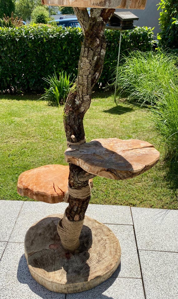 Massivholzkatzenkratzbaum mit kompletter Rinde am Stamm - Etsy.de