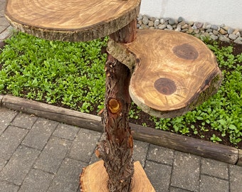 May include: A rustic wooden side table with two round shelves made from tree slices. The table is made from a natural tree trunk with bark still attached.
