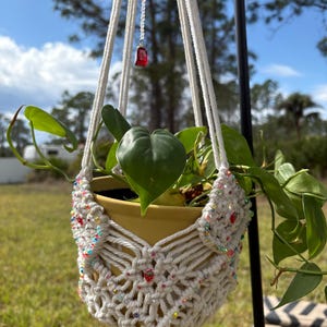 plant hanger | strawberry decor | Macrame | boho | hanging decor | plant holder | inside gardening