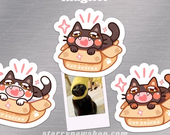 Cute Cat in a Box magnet | 31 Cat Colors with heart meow | Waterproof Glossy Cat Fridge Magnets for indoor & whiteboards