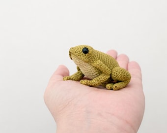 May include: A crocheted frog in shades of green and tan, with black eyes. The handmade amphibian is resting on a person's open palm, showcasing the detailed stitching and texture of the yarn. The frog is a charming, handcrafted item.