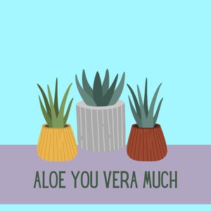 Postal de Dia dos Namorados - Aloe Vera