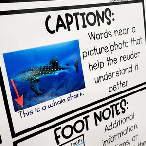 Nonfiction Text Features Anchor Chart [hard Good] - Option 2 - Etsy