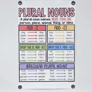 Plural Nouns Anchor Chart [hard Good] - Option 2 (no Pictures) - Etsy