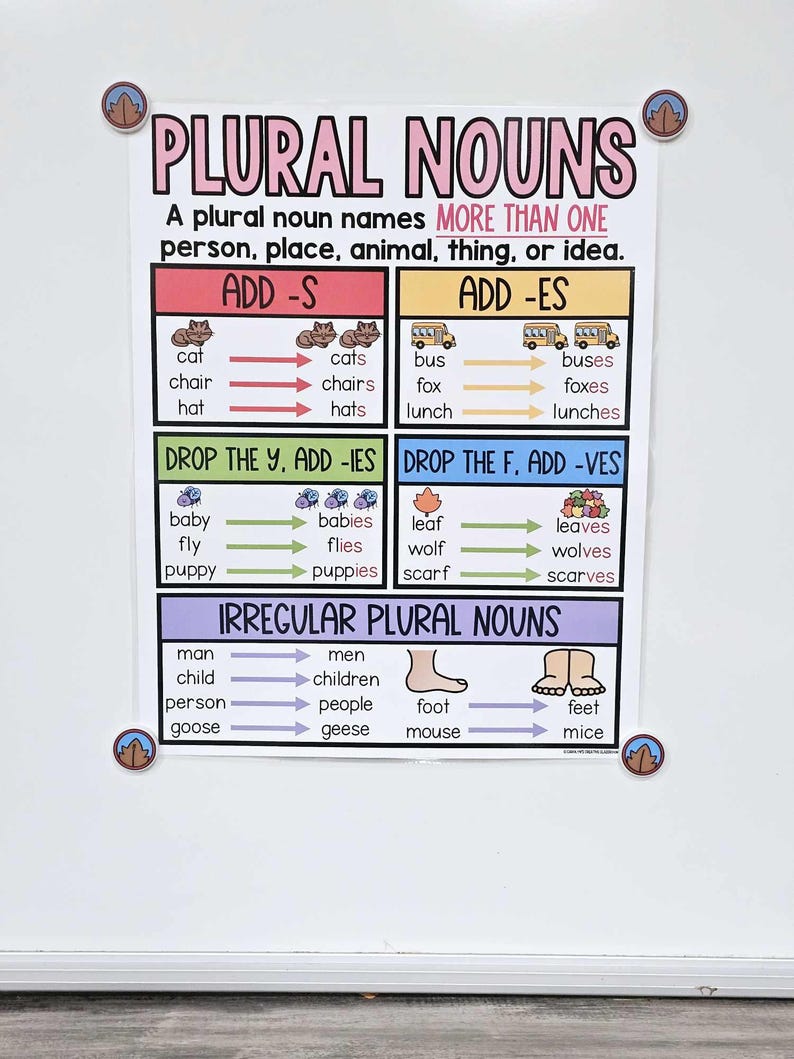 Plural Nouns Anchor Chart [hard Good] - Option 1 (with Pictures) - Etsy