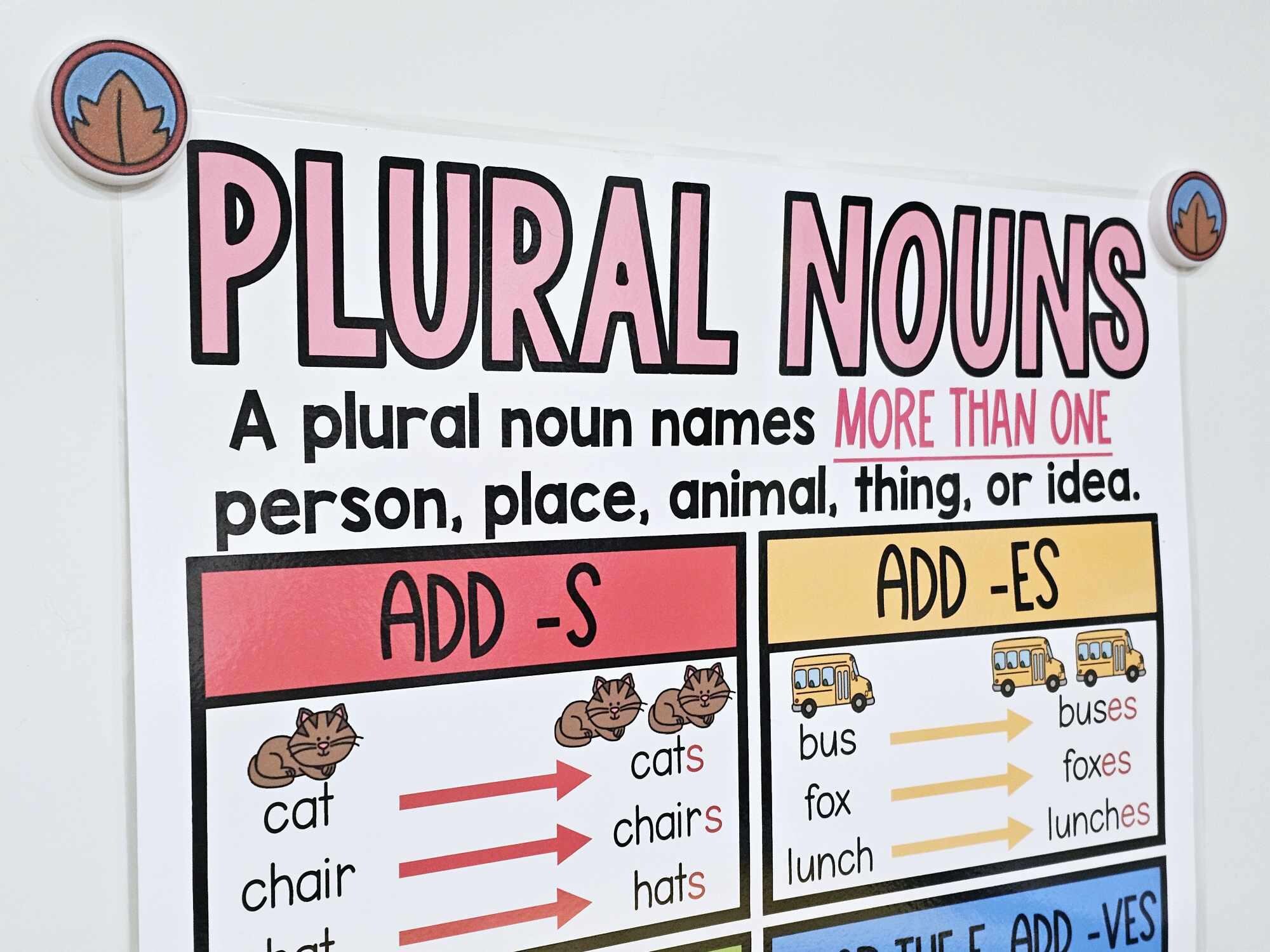 Plural Nouns Anchor Chart [hard Good] - Option 1 (with Pictures) - Etsy