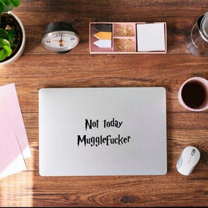 May include: A laptop with the text "Not today Mugglefucker" in black, surrounded by office supplies on a wooden desk. Includes a coffee cup, mouse, plant, and stationery.