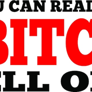 Motorcycle Vinyl Decal Sticker - If You Can Read This The BITCH Fell Off