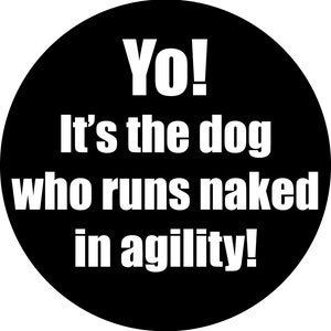 Pet Agility Vinyl Decal Sticker - Yo! It&#39;s The Dog Who Runs Naked In Agility!