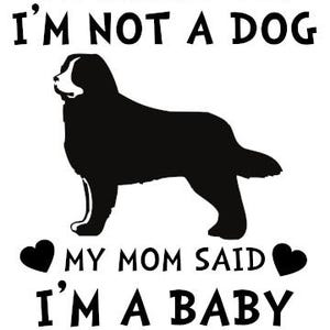 Bernese Dog Vinyl Decal - &#39;Not a Dog, I&#39;m Baby!&#39; Funny Sticker