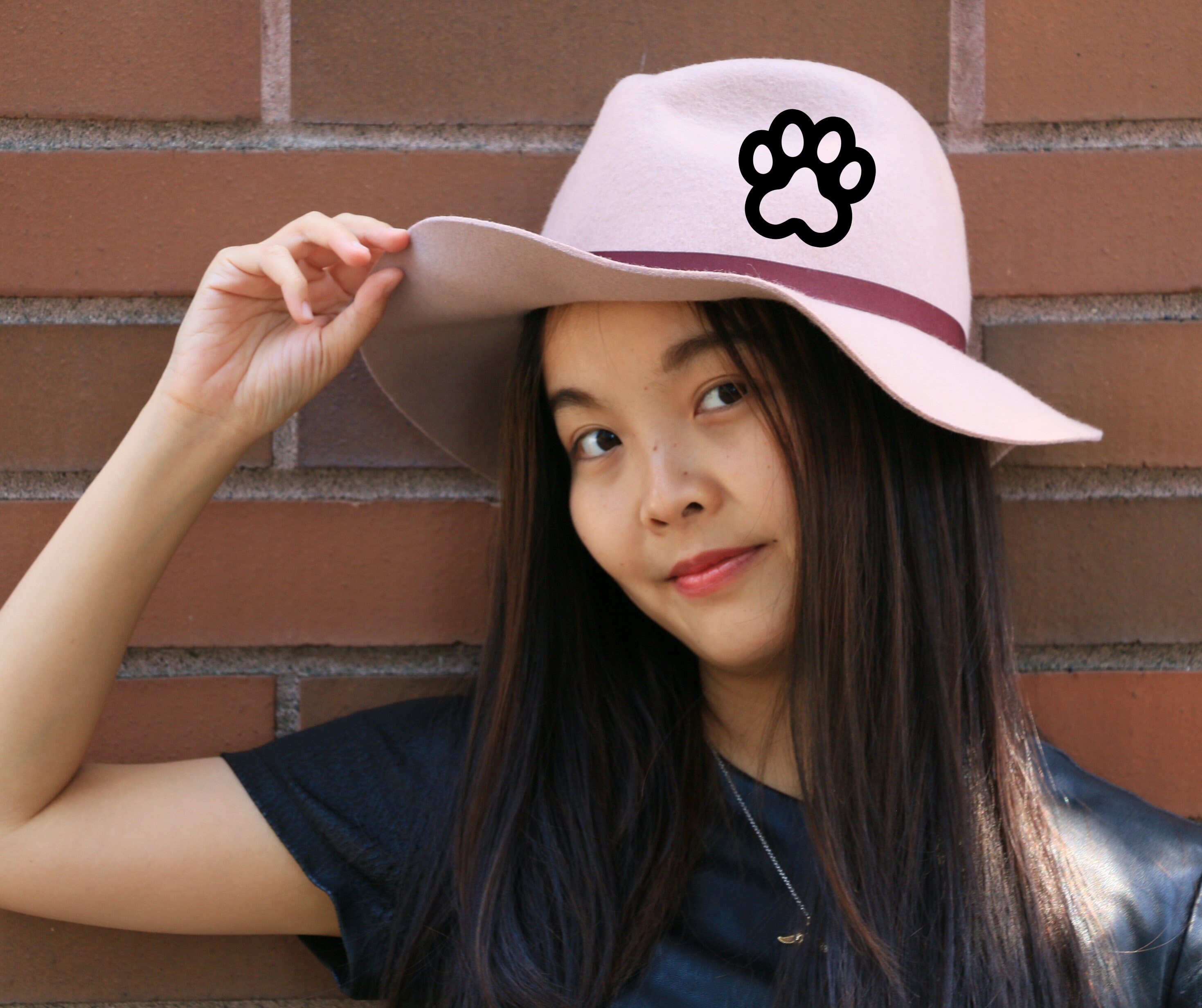 Paw Print SVG Bundle, Paw Print SVG, Dog,cat, Paw Print , Heart and Paw