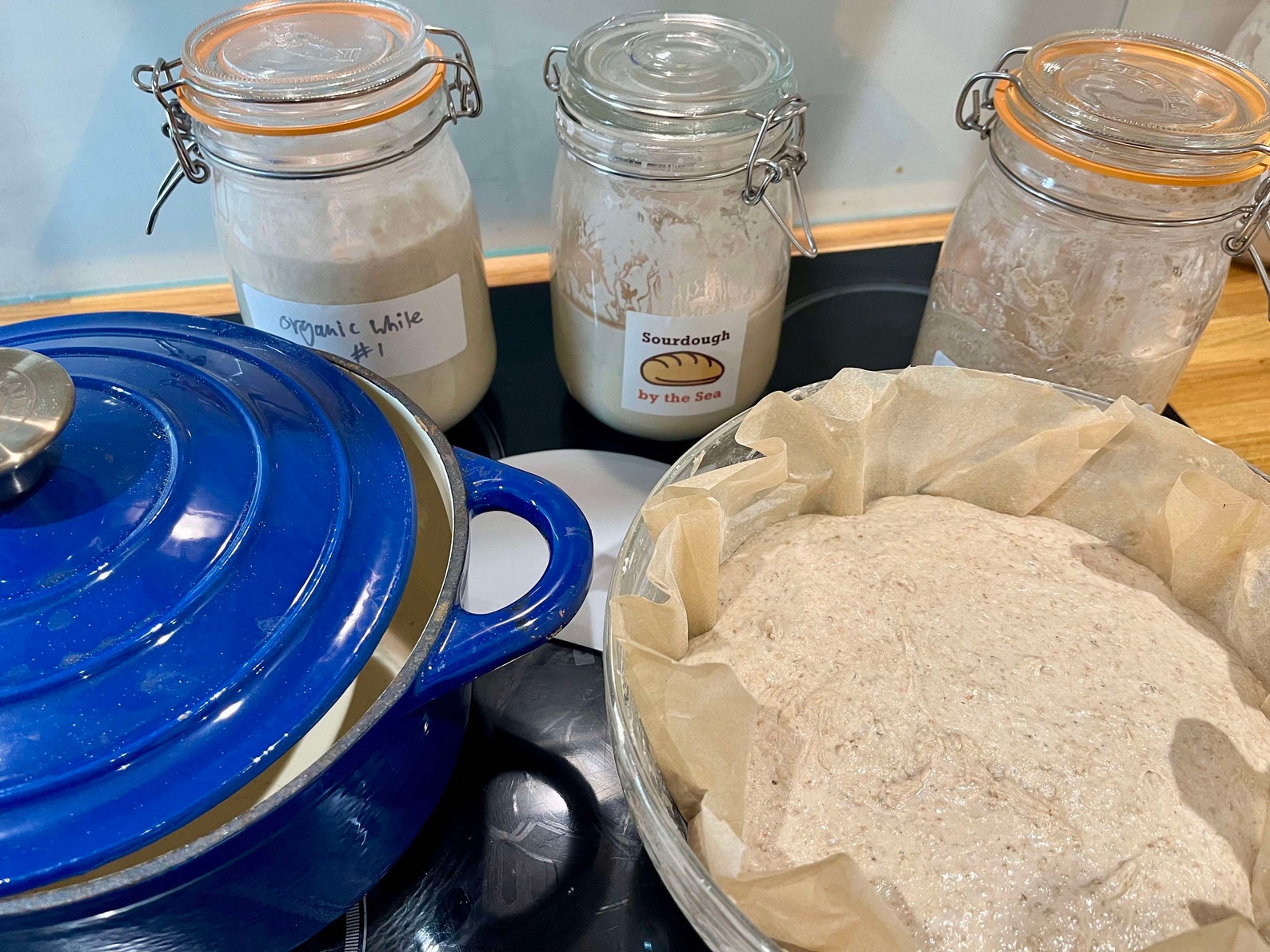 British Sourdough SPELT WHOLEMEAL Starter Fresh Live Culture Full