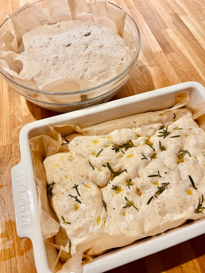 British Sourdough SPELT WHOLEMEAL Organic Starter Fresh Live Etsy