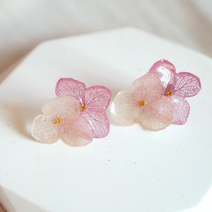May include: A pair of delicate earrings featuring pressed hydrangea flowers with pink and white petals and gold centers.