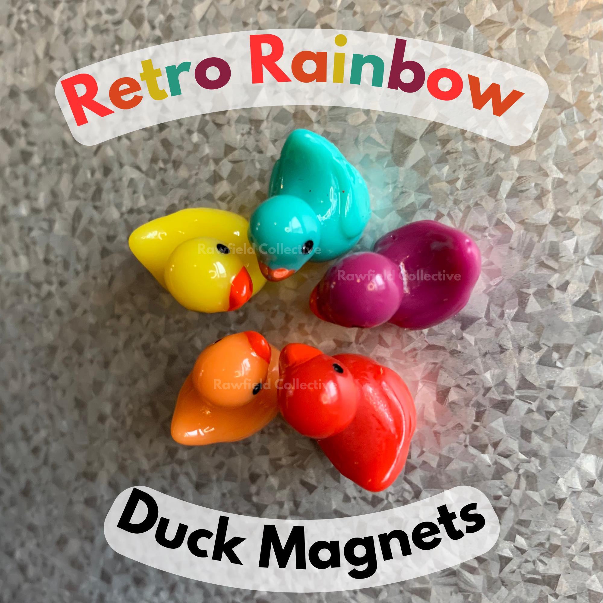 Retro Rainbow Duck Fridge Magnets | 5 Pieces | Colorful Refrigerator Magnet Set | Cute Small Bird Magnetic Home Decoration