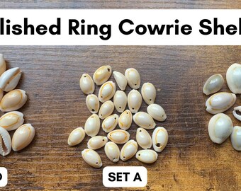 Polished Ring Cowrie Seashells | Natural Ocean Snail Shells for Jewelry Altars Crafts | Bulk Real Sea Shells | Fish Tank Wedding Decorations