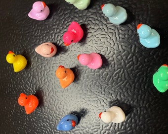 Mini Duck Magnets | 13 Pieces | Pastel Refrigerator Magnet Set | Cute Small Bird Magnetic Home Decoration Accessories