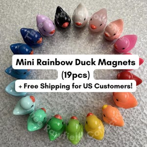 ミニダック冷蔵庫マグネット | 19個 | カラフルな冷蔵庫マグネットセット | 小鳥マグネットヒンジトッパー ホームデコレーションアクセサリー