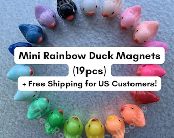 Puede incluir: Diecinueve imanes de pato en miniatura dispuestos en un patrón circular de arcoíris. Cada pato presenta un acabado liso y brillante en un color distinto, incluyendo negro, blanco, rosa, azul, verde, amarillo y naranja. Texto: Mini Rainbow Duck Magnets (19pcs).