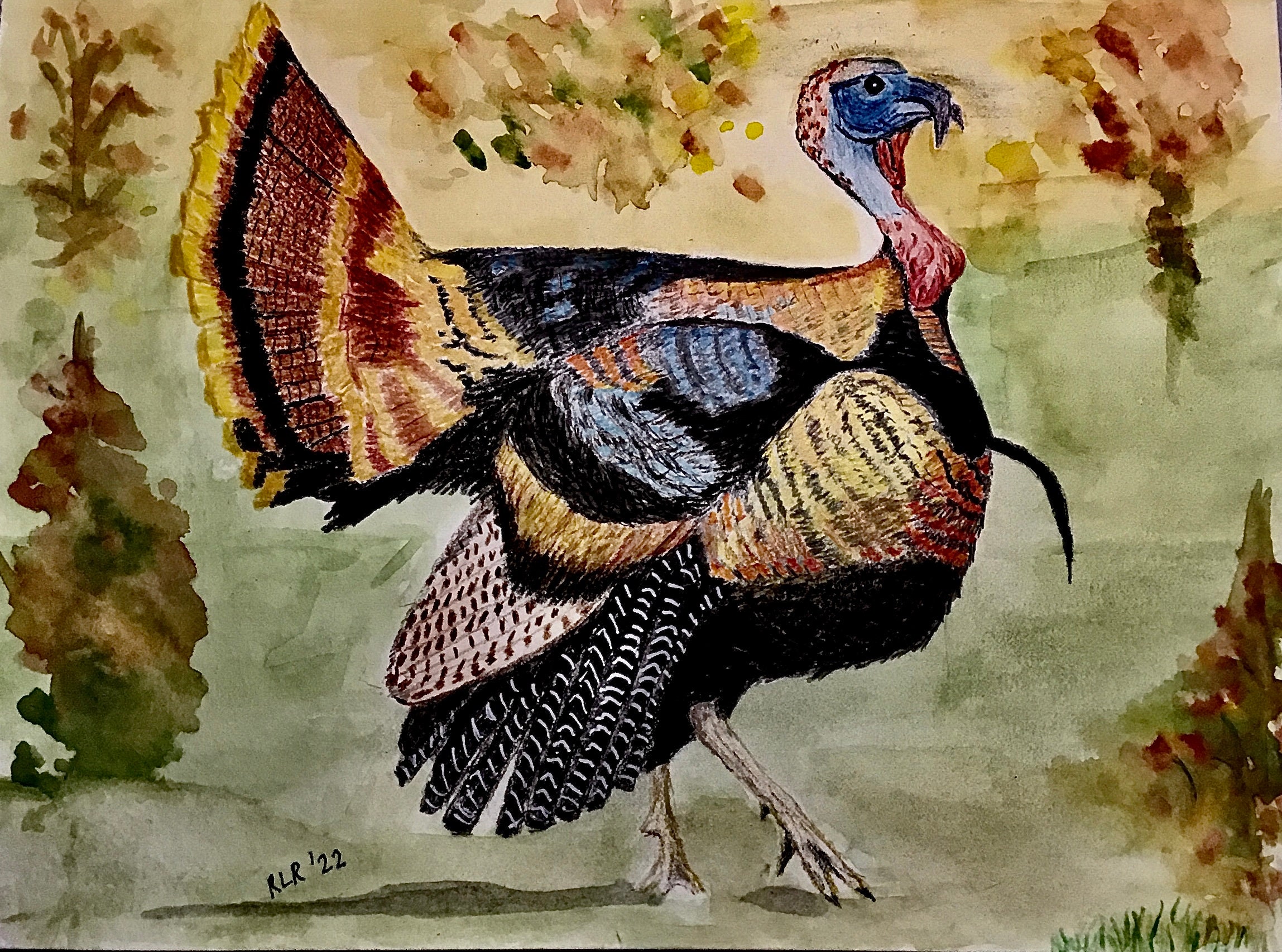 Wild Turkey Watercolor Print - Etsy