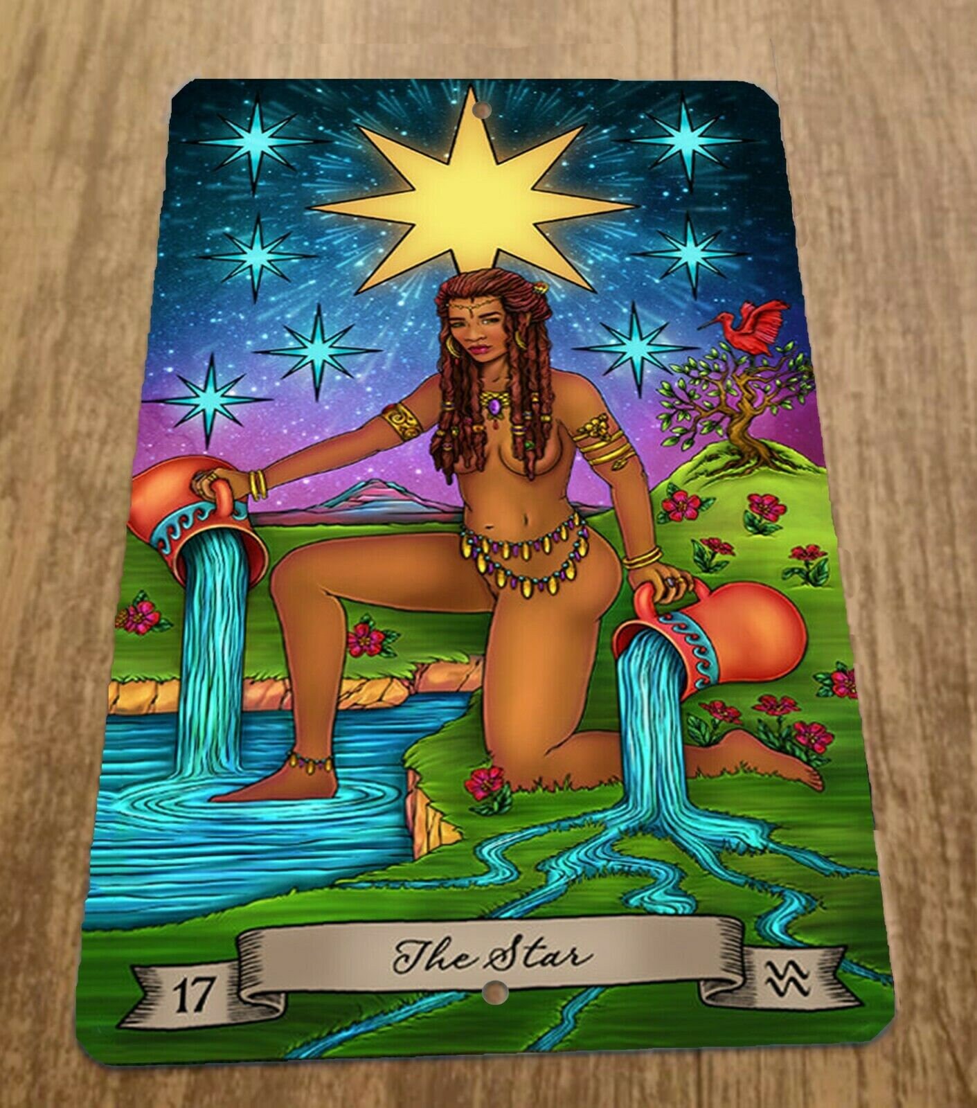 The Star Tarot Card 17 Artwork 8x12 Metal Wall Sign - Etsy