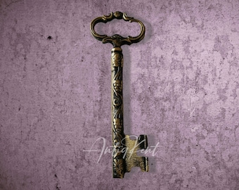 Chiave scheletro, chiave decorativa per porta in ottone fuso in sabbia