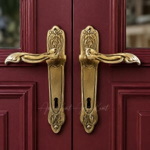May include: A pair of ornate brass door handles with intricate floral-inspired engravings on the backplates, mounted on a deep burgundy door. Each handle features a curved lever and a keyhole, secured with visible screws at the top and bottom.