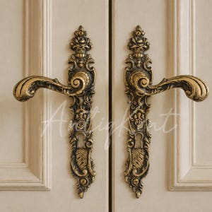 Paar französischer Türgriffe im Rokoko-Stil, massiver Messing-Türdrücker im viktorianischen Stil, verzierte Akanthus-Rosette, Einsteckschloss, passend für Renovierungen aus dieser Zeit.