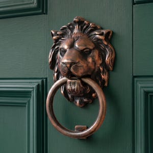 Può includere: Un battente per porta in metallo color rame a forma di testa di leone con un anello circolare tenuto in bocca. Il leone presenta dettagliate texture della criniera e tratti del volto, montato su una porta in legno a pannelli verde bosco.