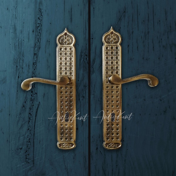 Vintage Style Door Handles, Door Handle for Front Door, Rustic Decor Door Handles, Antique Brass Ornate Door Lever, Large Door Handle