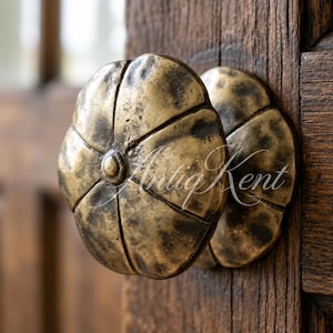May include: A round, brass-toned metal door knob with a textured, petal-like surface and a central circular detail. The knob features a dark, weathered patina and is mounted on a dark brown wooden surface. The text Antig Kent is visible.