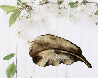 Spring Leaf Cabinet Knob, Antique Brass Drawer Knob and Pulls, Furniture Hardware