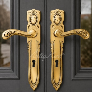 May include: A pair of polished brass door handles with ornate scrollwork and a central oval medallion featuring a relief profile of a face. Each handle is mounted on a vertical rectangular backplate with a keyhole and decorative screw heads.