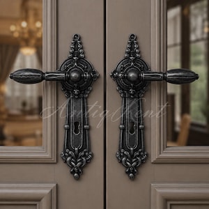 May include: A pair of dark, weathered metal door handles with intricate, ornate detailing and a central keyhole plate. The handles feature a horizontal lever design with a rounded grip, mounted on a vertical, decorative backplate on a door.