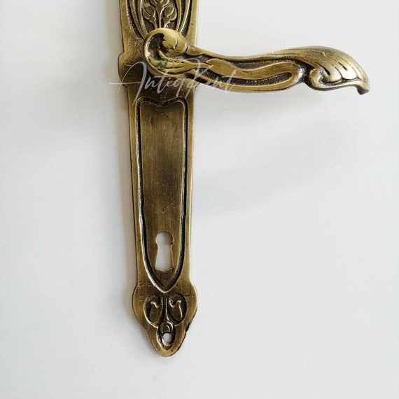 Elegant Brushed Brass Mortise Office Or Front Door Handle