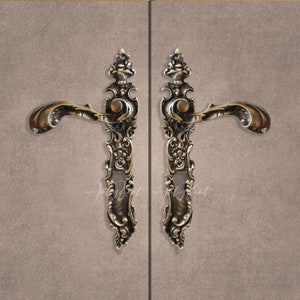 Può includere: Un paio di maniglie per porte in stile antico decorate con intricati motivi floreali. Le maniglie sono in ottone e hanno una finitura lucida.