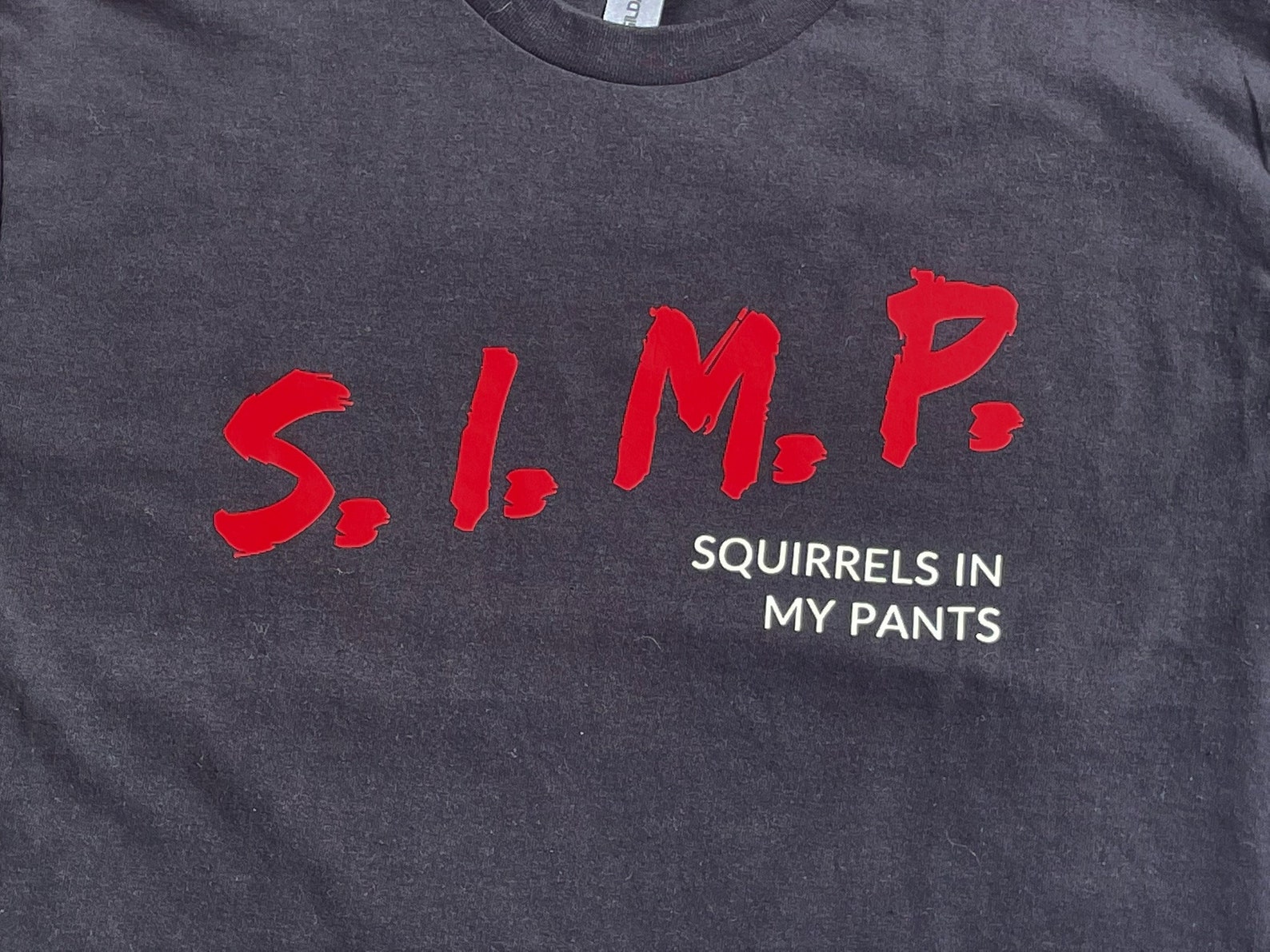 S.I.M.P. Squirrels in My Pants Tshirt Etsy