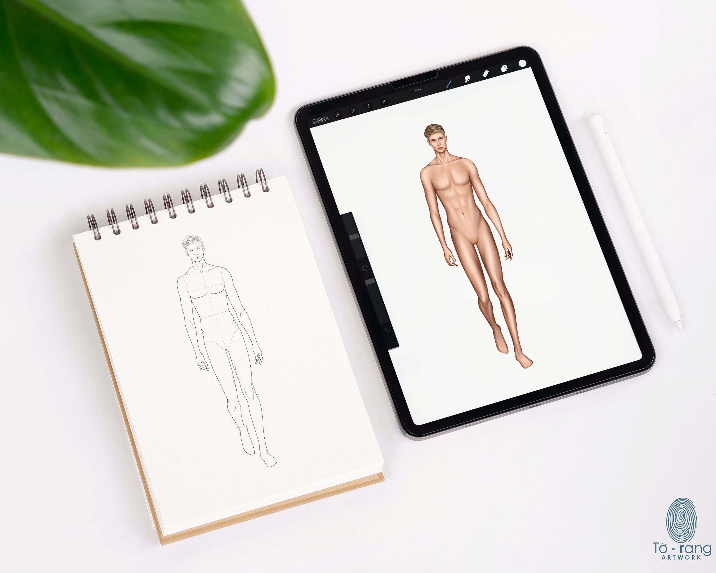 Male Fashion Croquis Templates, Runway Pose, 3 Different Colored Skin ...