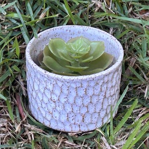 Small succulent pots.    2.125”x3.25”