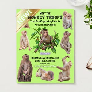 Magazine: Meet The Monkey Troops That Are Capturing Hearts Around The Globe - 40+ Monkeys, Real Stories
