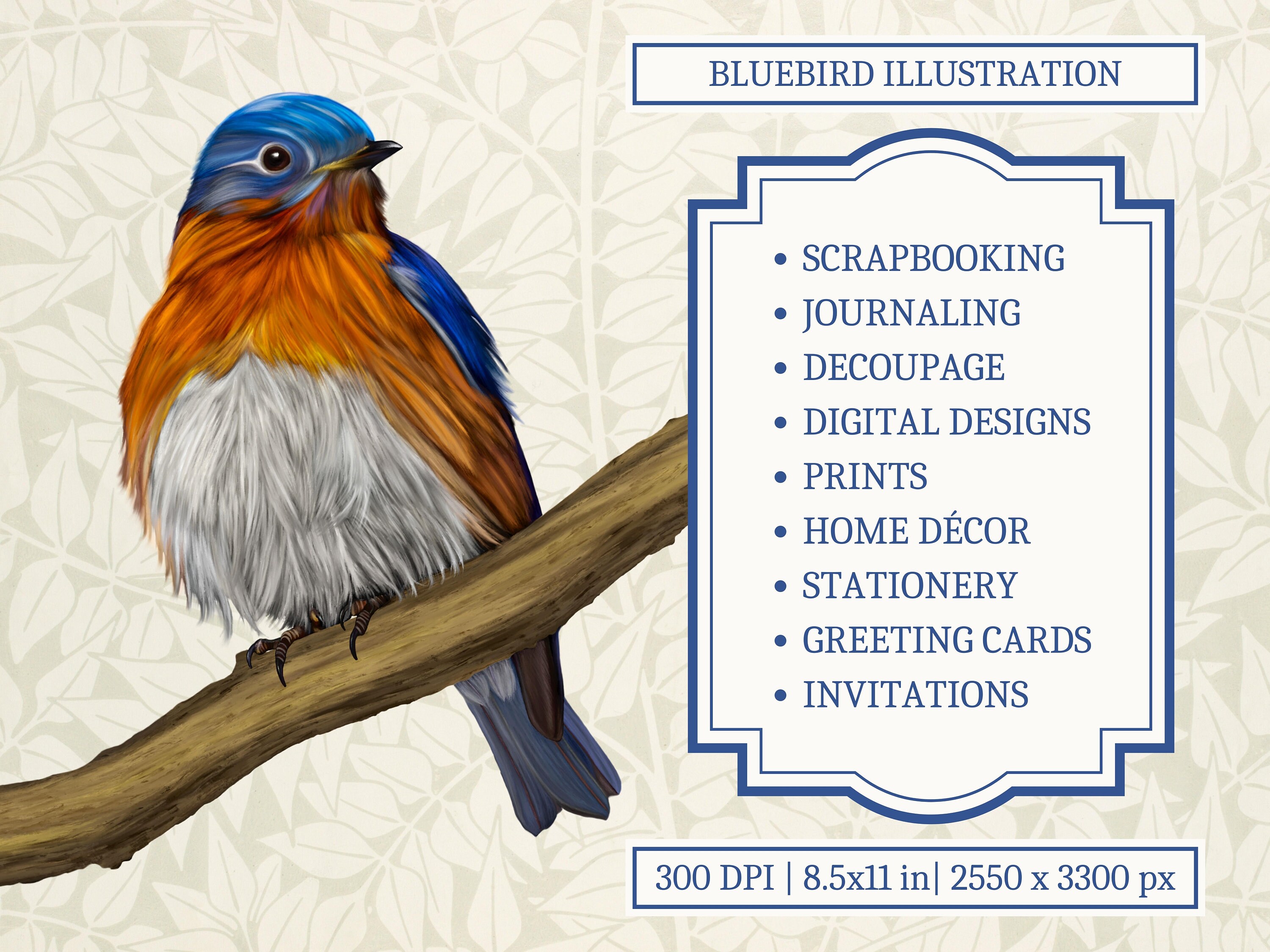 Eastern Bluebird Illustration PNG Printable Animal - Etsy