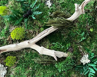 Preserved Moss Wall Art, Preserved Moss, Drift Wood, Framed Moss Art, Moss Wall Decor