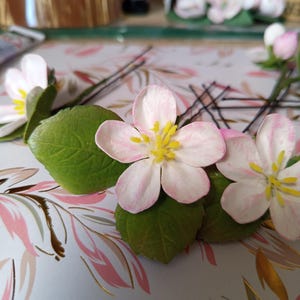 Può includere: Primo piano di forcine floreali. Ogni forcina presenta un delicato fiore rosa chiaro e bianco con un centro giallo, attaccato a una foglia verde. I fiori sono montati su forcine nere, perfette per aggiungere un tocco di natura a qualsiasi acconciatura.