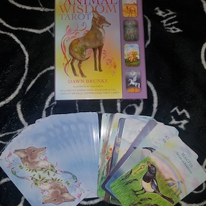 Spirit Animal begeleiding. Wijsheid van Dieren Tarot. Eén kaarttrekking