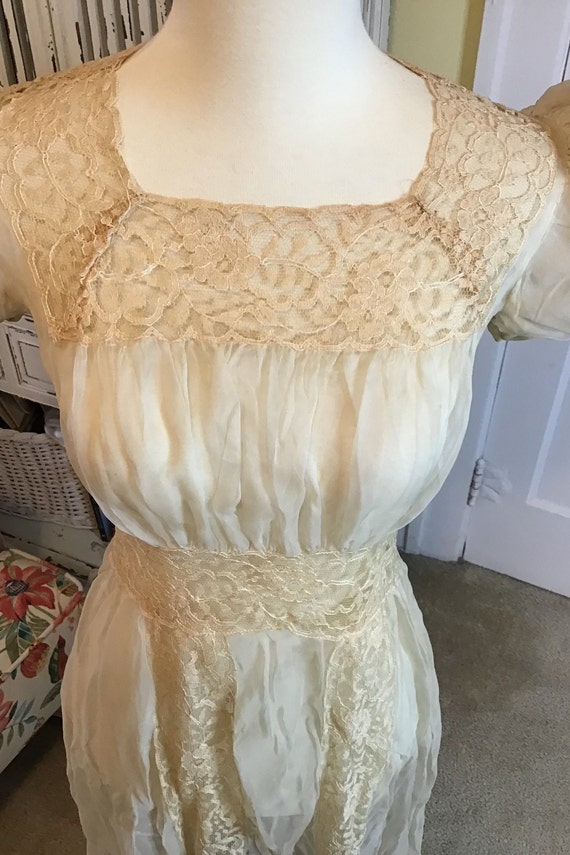 Vintage Cream-colored Silk Chiffon Gown - image 3