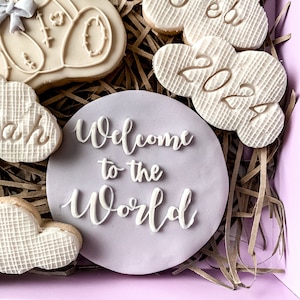 May include: A set of four decorated cookies in a purple box with brown shredded paper. The cookies are decorated with a teddy bear, a cloud with the text "8th Feb 2022", a cloud with a textured pattern, and a purple cookie with the text "Welcome to the World".